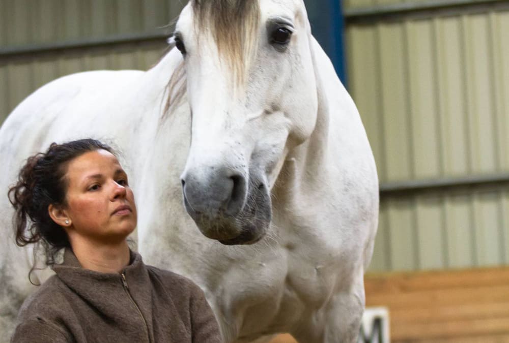 Wellness für dein Pferd (DIY 4) – die Thoraxschlinge