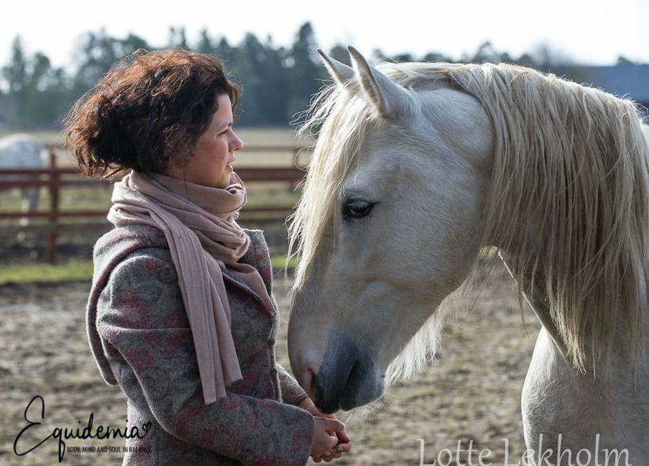 Horses smell our emotions