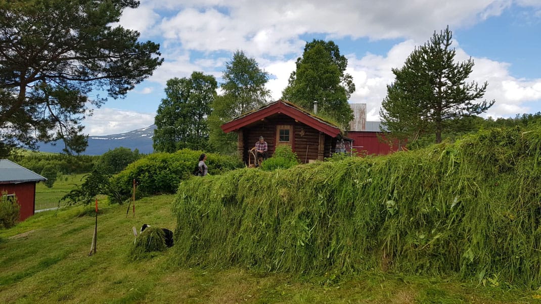 Hesje Høy – the real norwegian experience