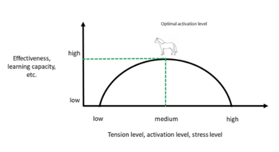 Learning, stress, and the “upside down bathtub curve”
