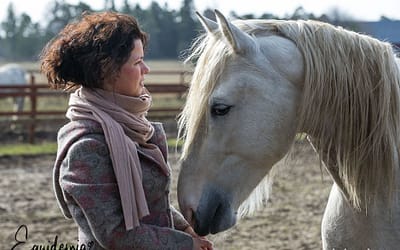 Horses smell our emotions