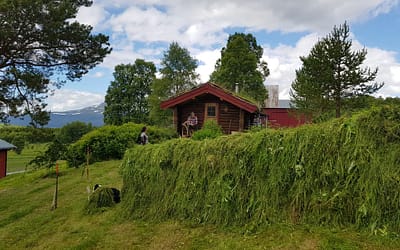 Hesje Høy – die echte norwegische Erfahrung
