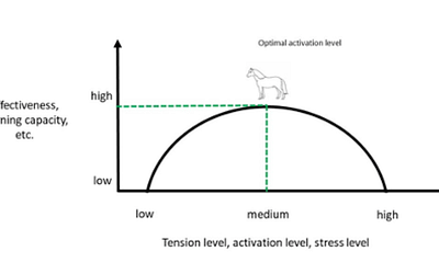 Learning, stress, and the “upside down bathtub curve”